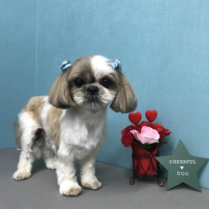 大辺　ころ介くん