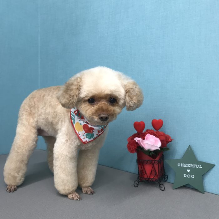 辻口　マロンちゃん