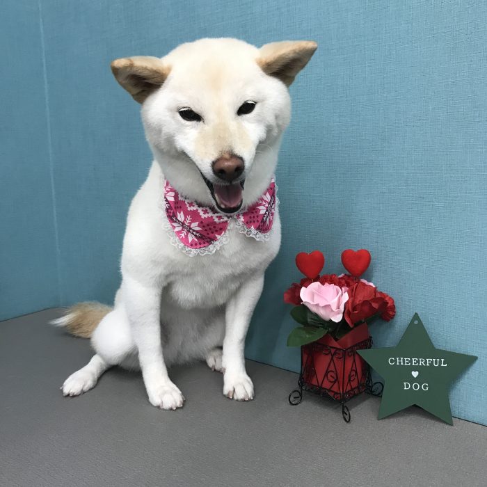 中西　神龍ちゃん