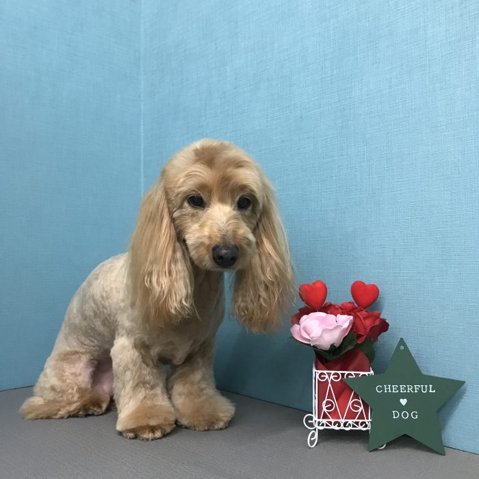 竹内　ソラくん