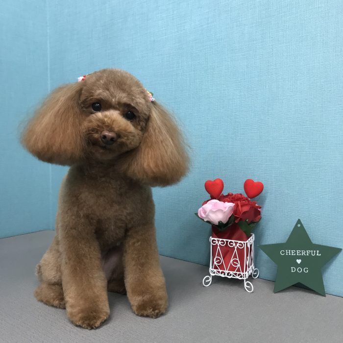 山下　ひめちゃん