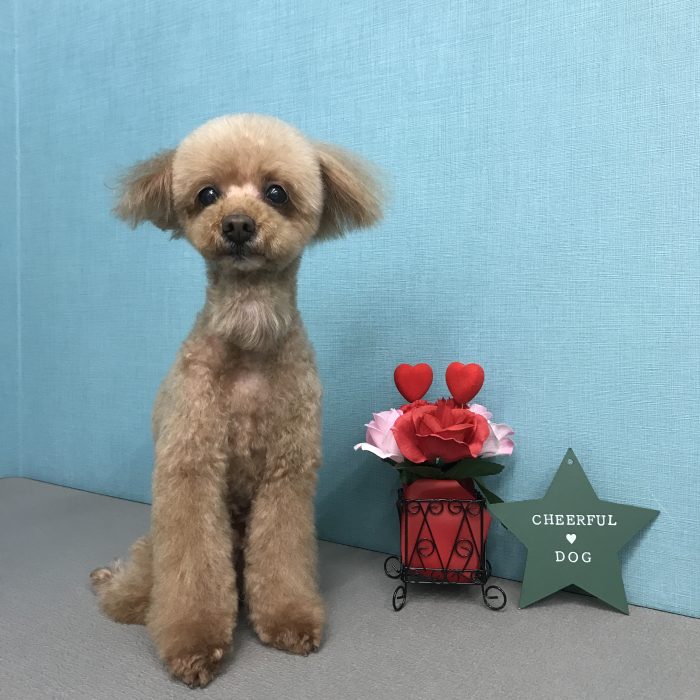 加藤　ココくん