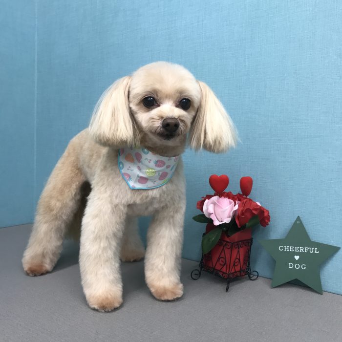 江崎　チャムくん