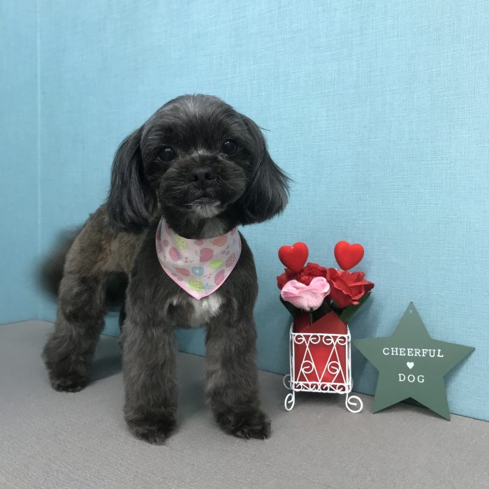 江崎　メイちゃん