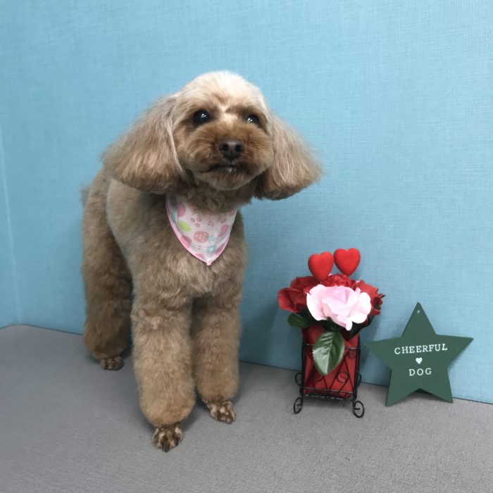 小鍛治　さつきちゃん