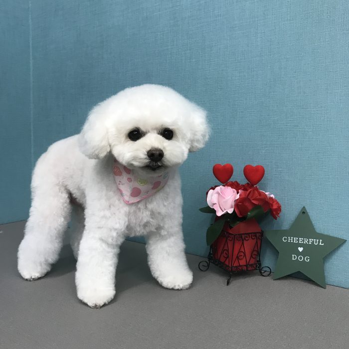 赤澤　美凜ちゃん