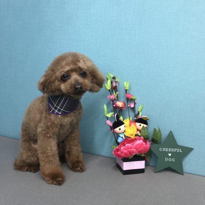 若松　アトムくん