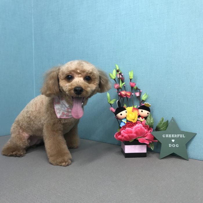 伊東　ルイちゃん