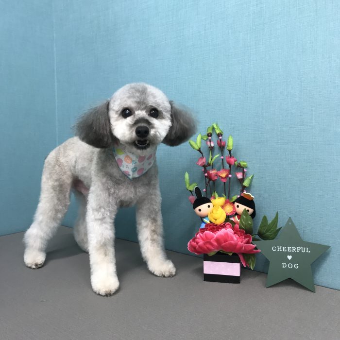 山元　空夢くん