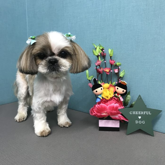 大辺　ころ介くん