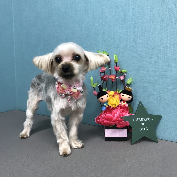 川西　Ｓｋｙちゃん