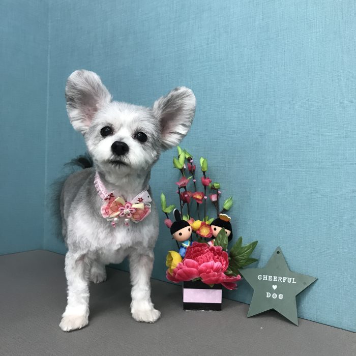 中島　モアナちゃん