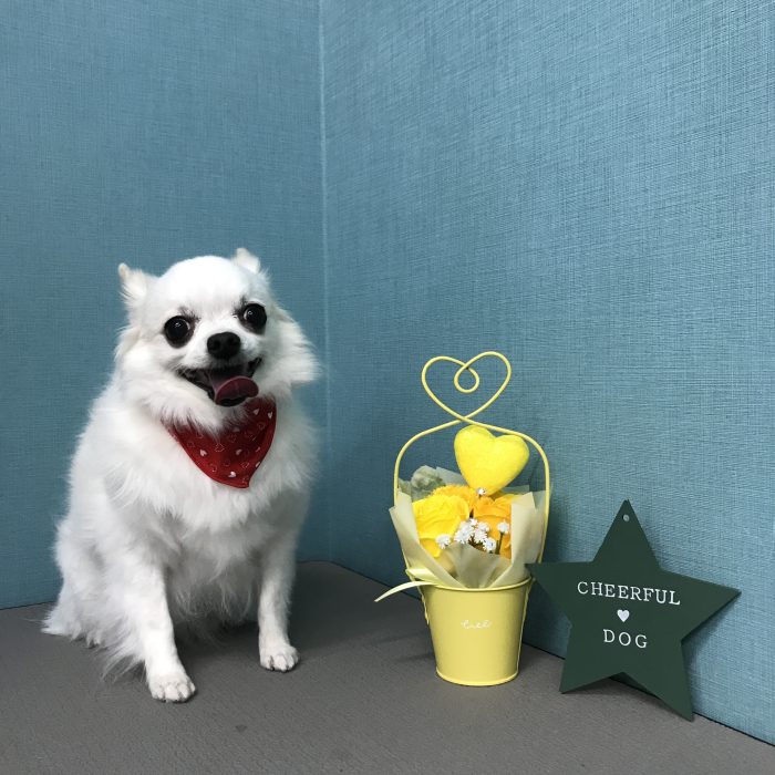 越村　ましろちゃん