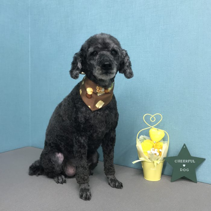 大西　くっくくん