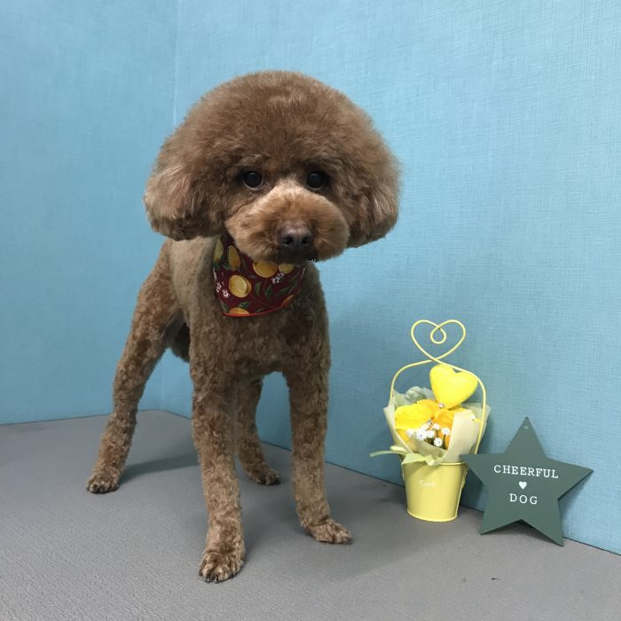 成瀬　モカちゃん