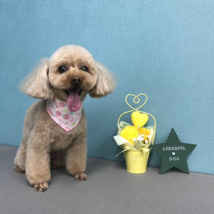 大久保　ミライちゃん