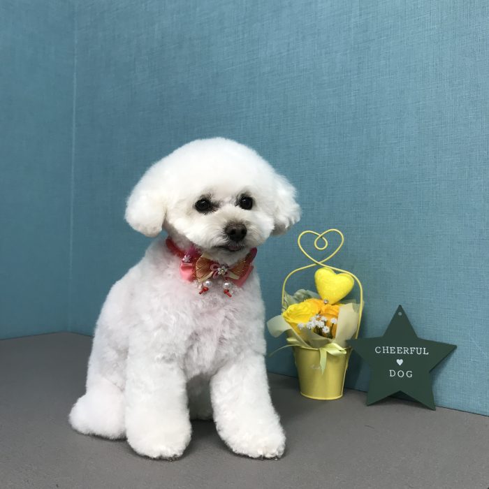 赤澤　美凜ちゃん