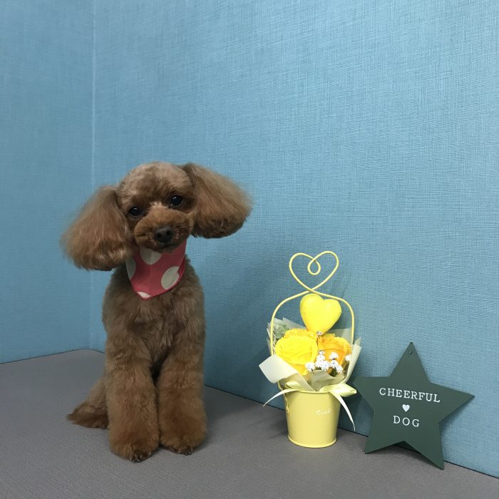 竹田　アビィちゃん