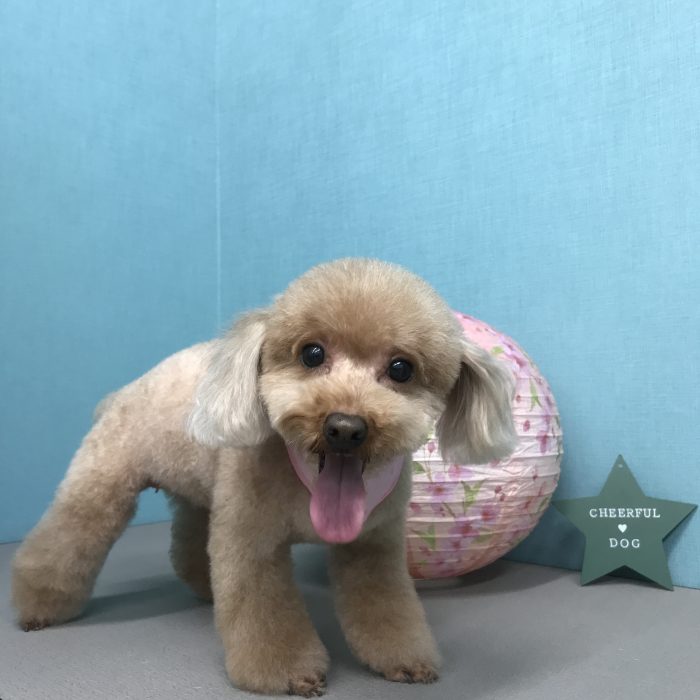 湊　ピョンちゃん