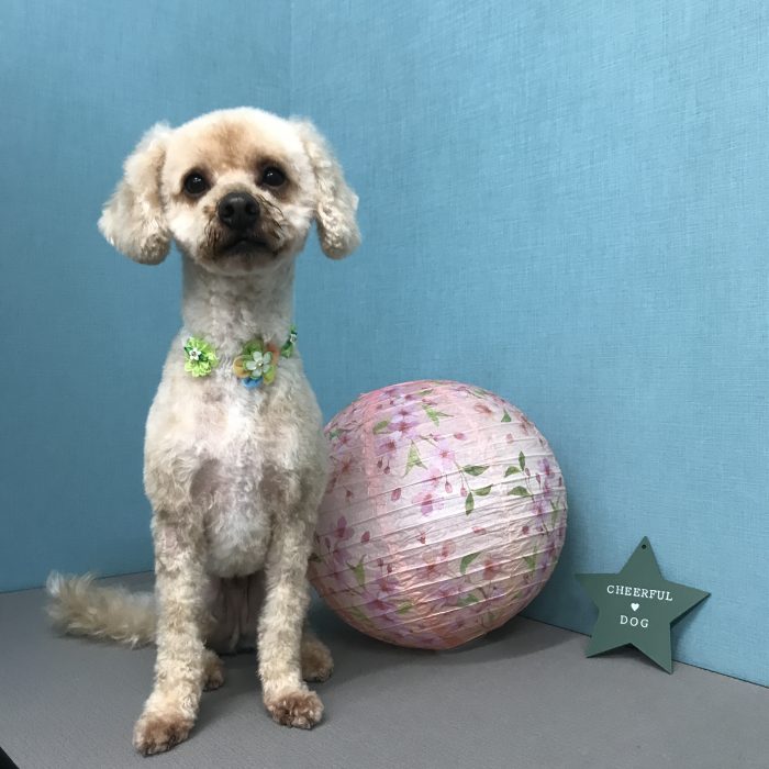 土井　ジョーくん