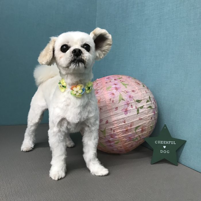 土井　ファミちゃん