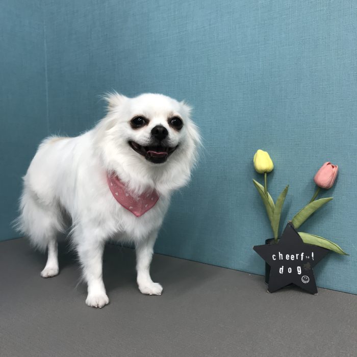 小中　ソラちゃん