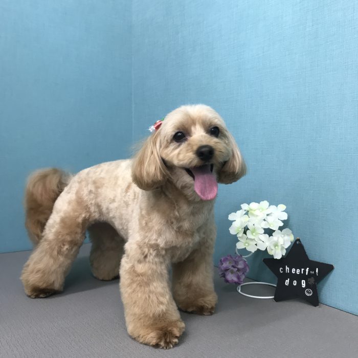川田　ららちゃん