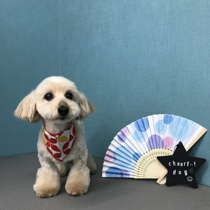 松田　ラテちゃん