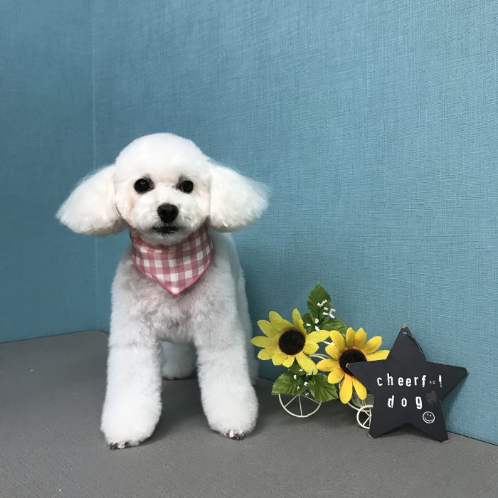 鹿野　モコちゃん