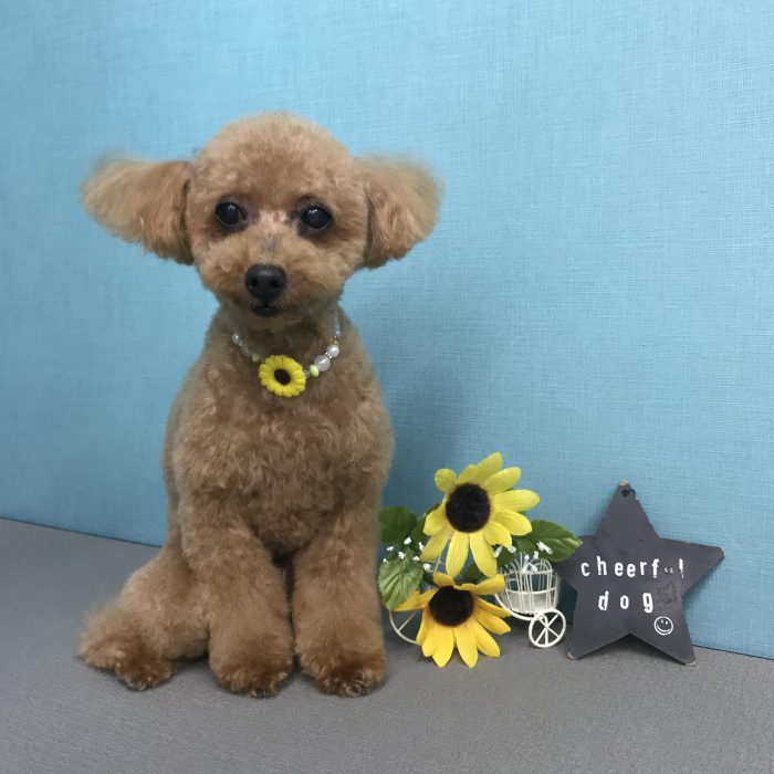 東　ワサビくん