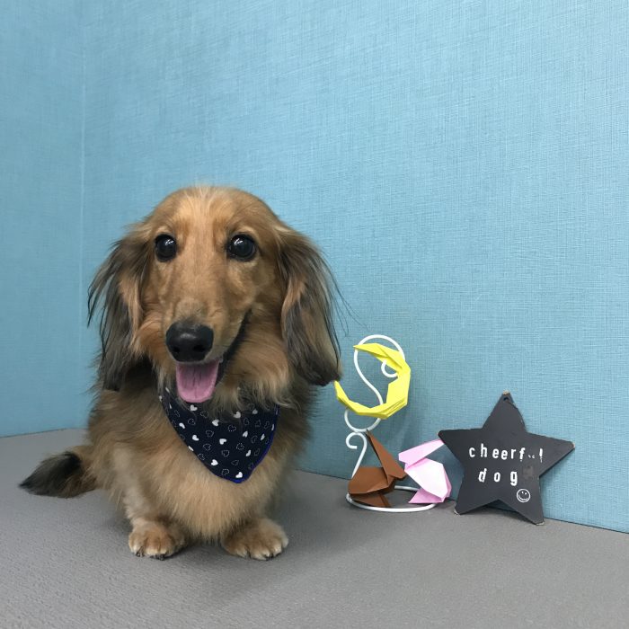 村井　サンくん