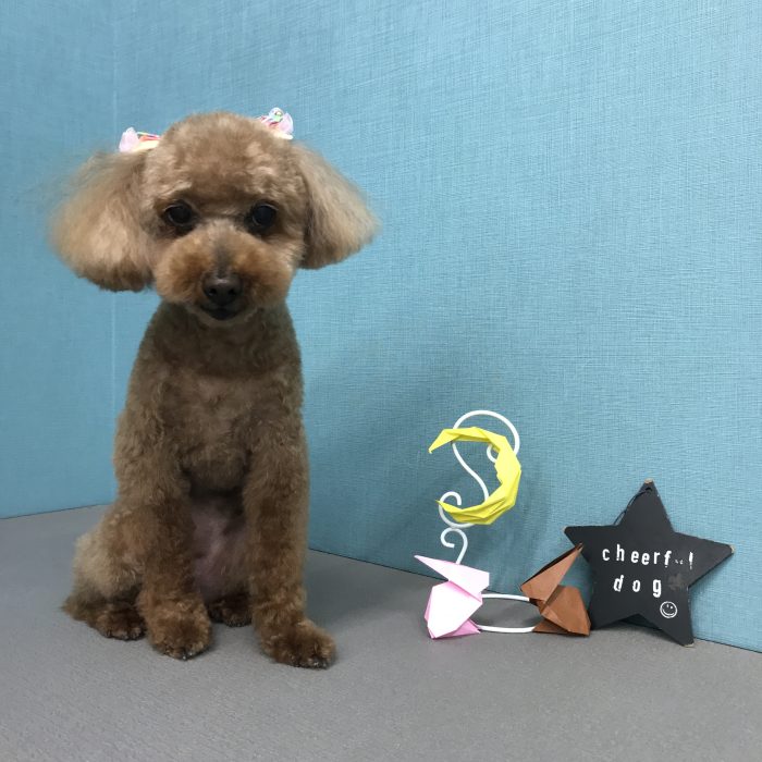 徳用　びっくるちゃん
