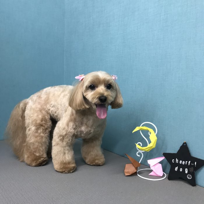 川田　ららちゃん