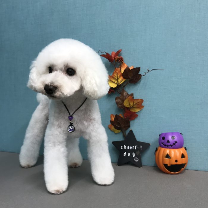 広田　ポポくん