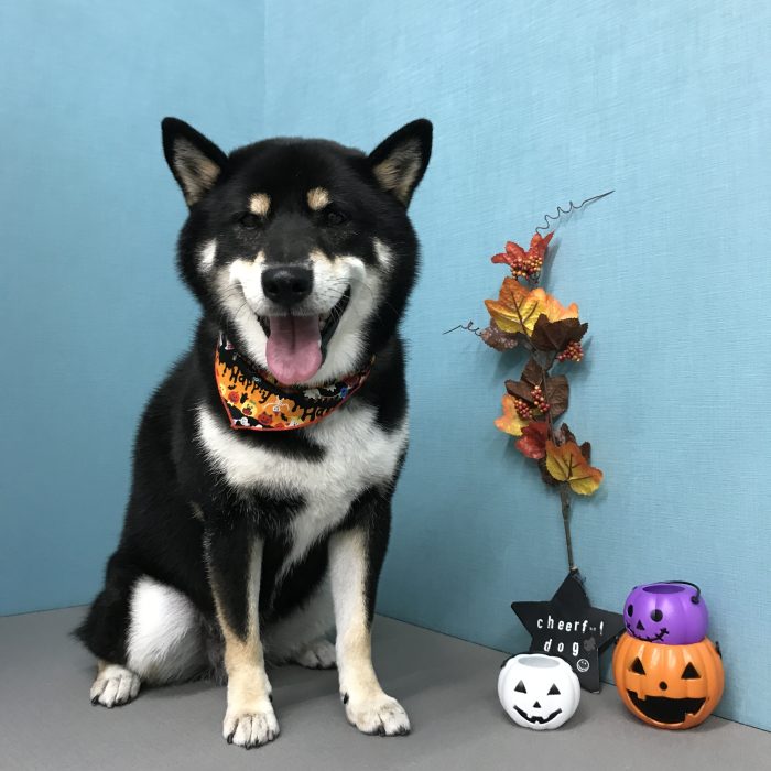 干場　柴一くん