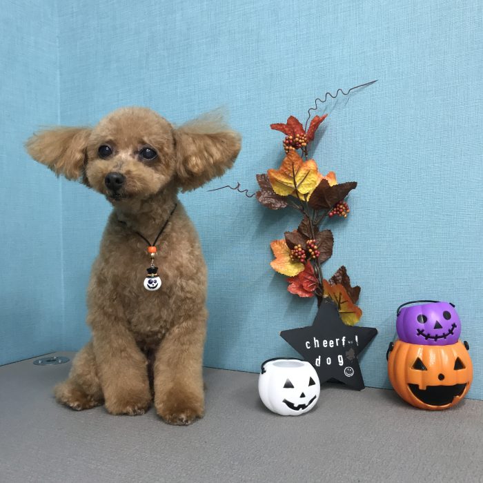 東　ワサビくん