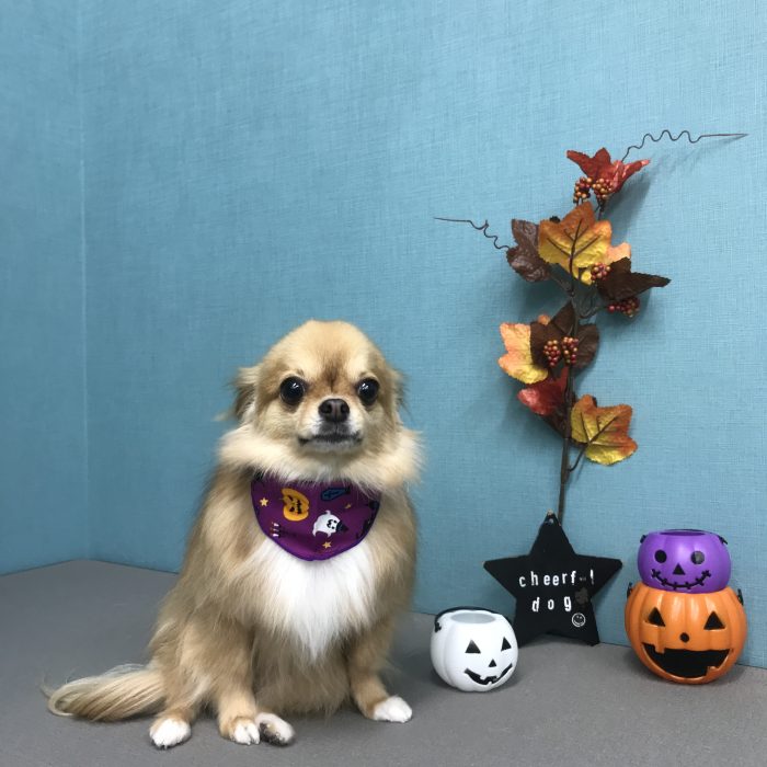 崎田　モカちゃん