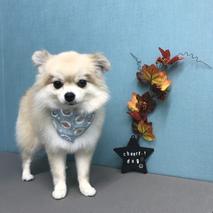 向出　つむぎくん