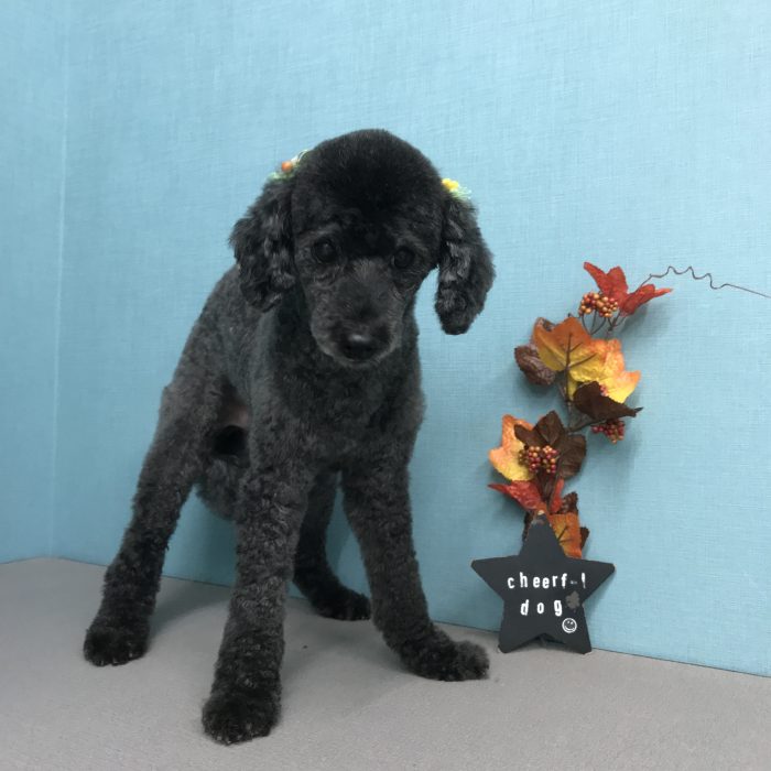 荒木　クーくん