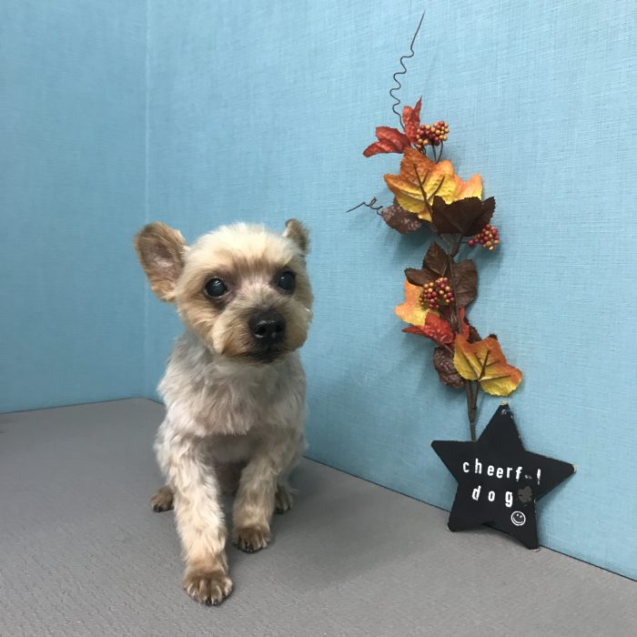 田中　ぷぅくん