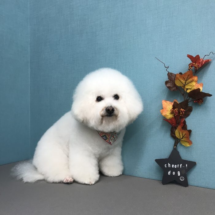 横堀　風花ちゃん