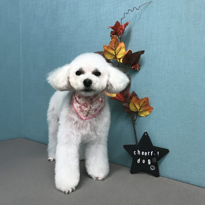 鹿野　モコちゃん