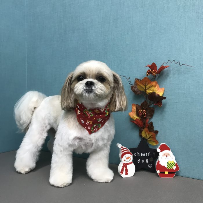 作田　クッキーちゃん