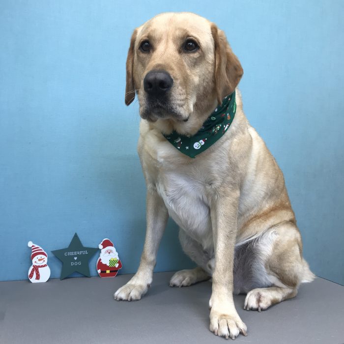 山本　エヴァくん