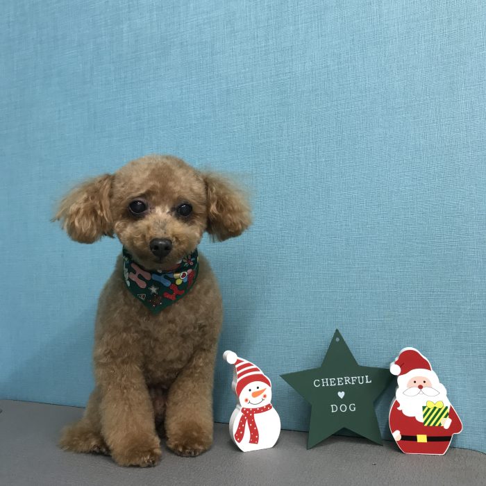 東　ワサビくん