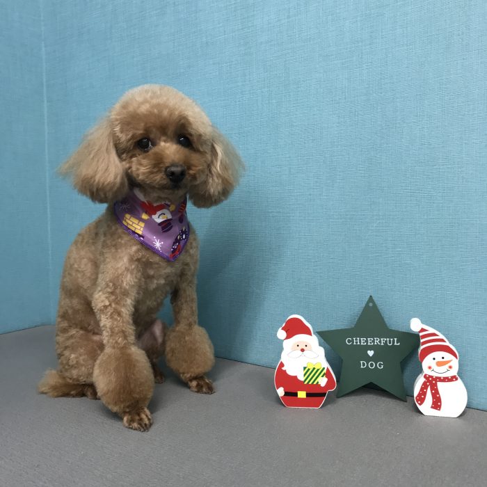 井上　チョコちゃん