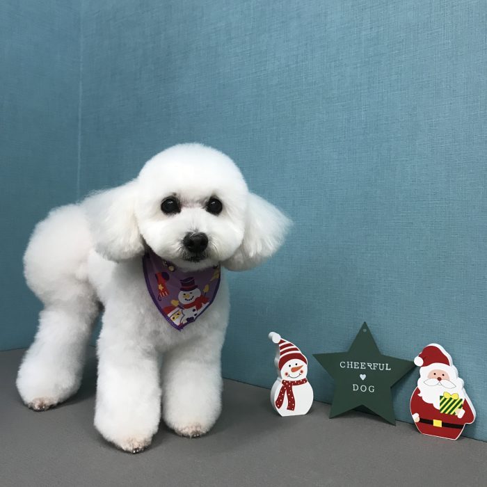 中田　バニラちゃん