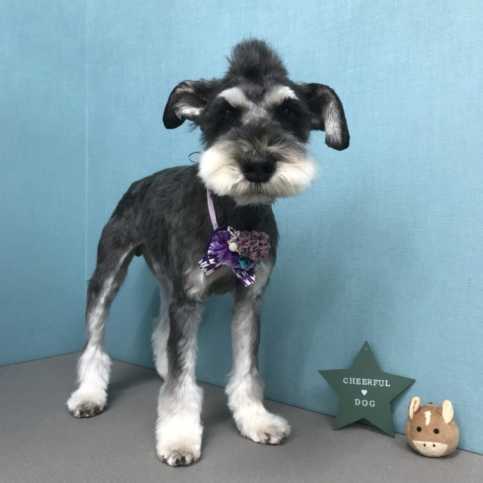 田村　ＲＡＹくん