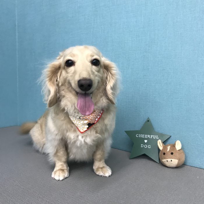 宮村　ちくわちゃん