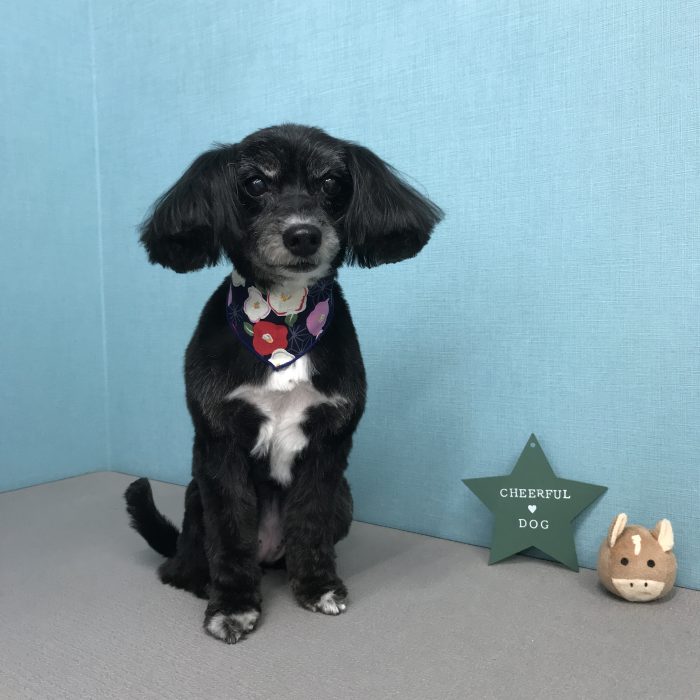 杉岡　ローラちゃん